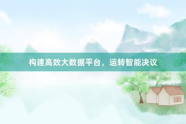 构建高效大数据平台，运转智能决议