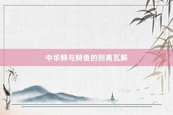 中华鲟与鲟鱼的别离瓦解